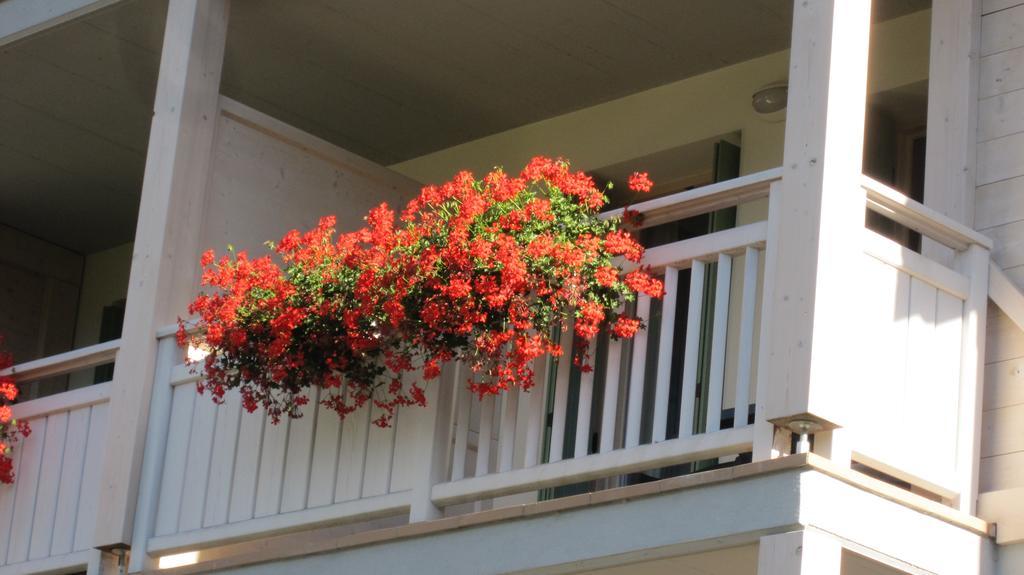 Apartment Valdisole Ossana Dış mekan fotoğraf